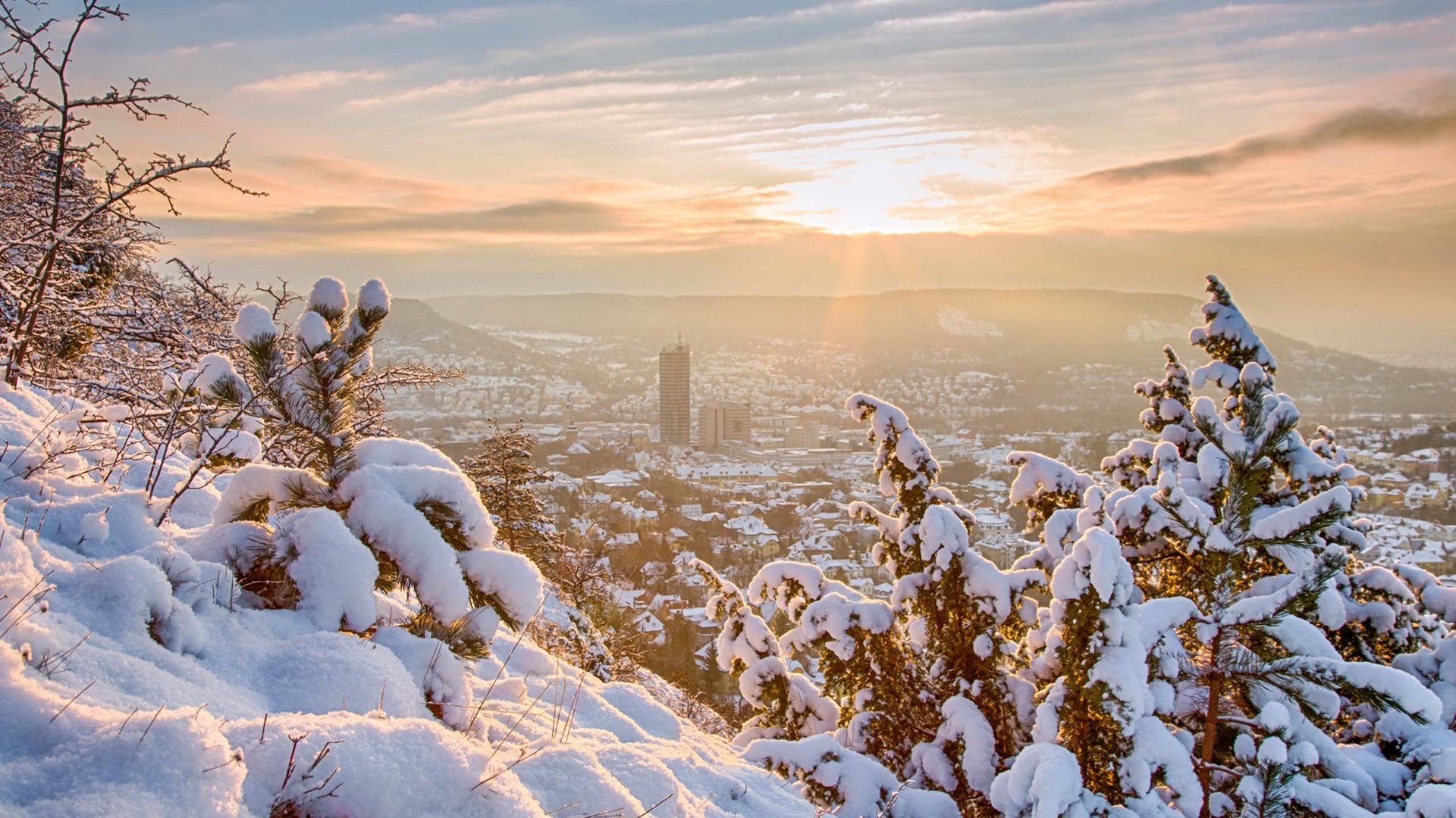 Snow-covered trees in foreground with city and sunset in background