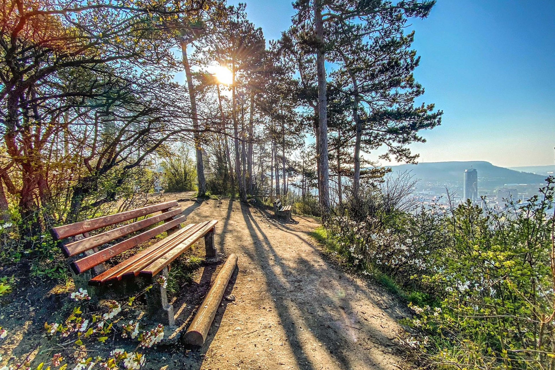 Sonnenlicht durch Bäume auf Wanderweg mit Bänken und Blick auf Stadt