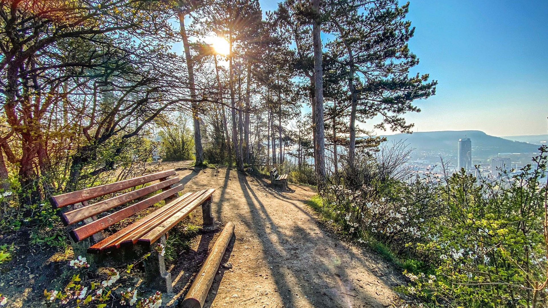 Sunlight through trees on trail with benches and city view in background