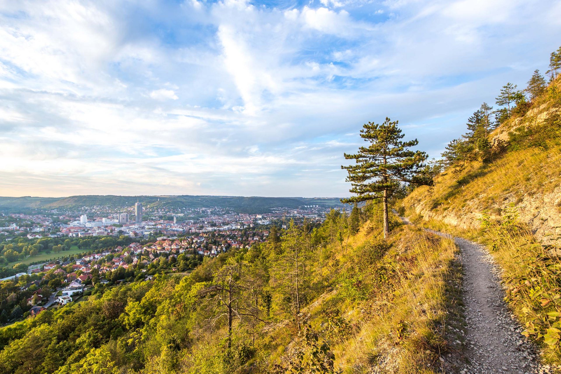 Hiking trail on hillside overlooking city and wooded hills in the background