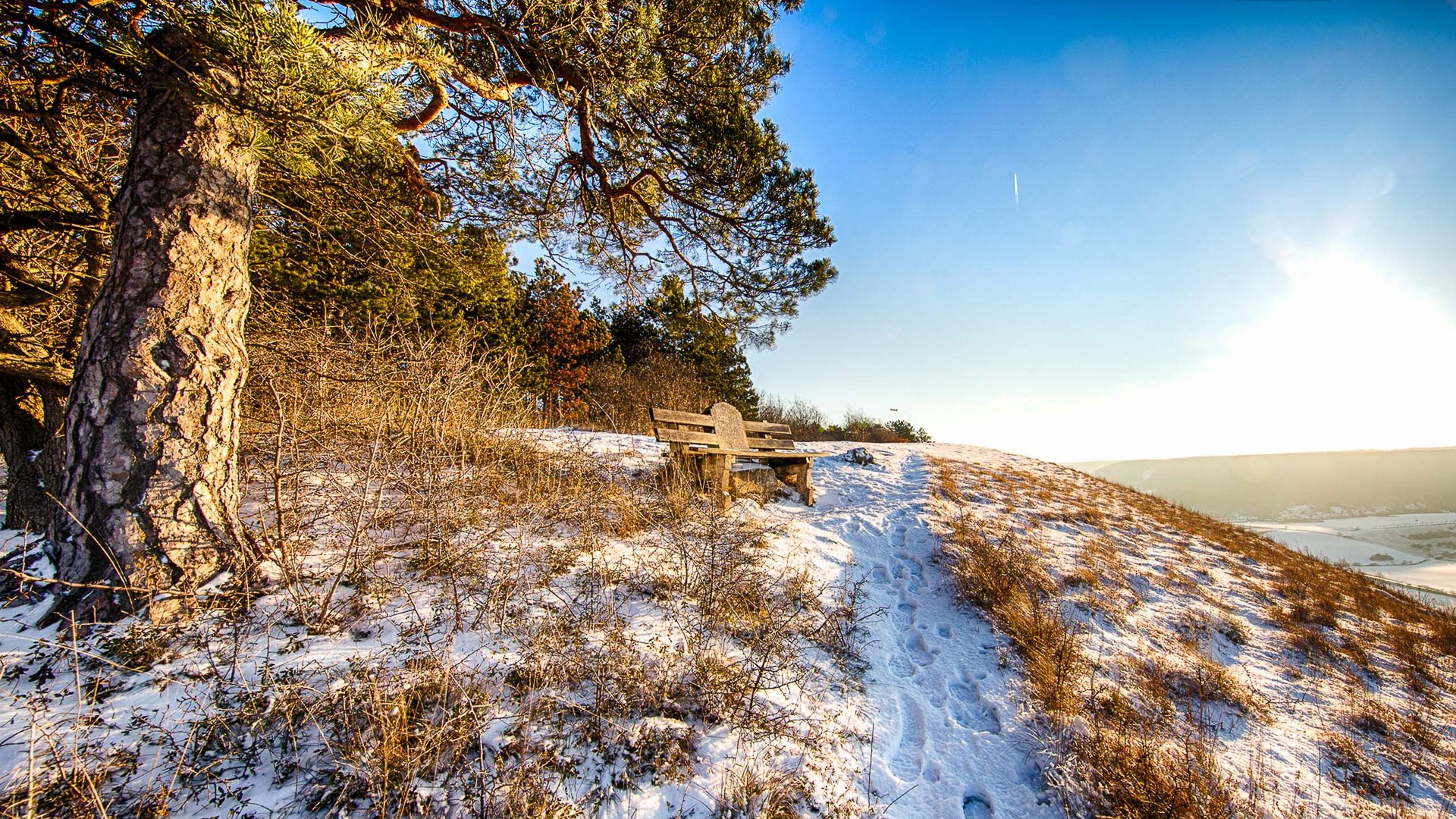 Snow-covered hill with a tree, bench, and footprints in the snow