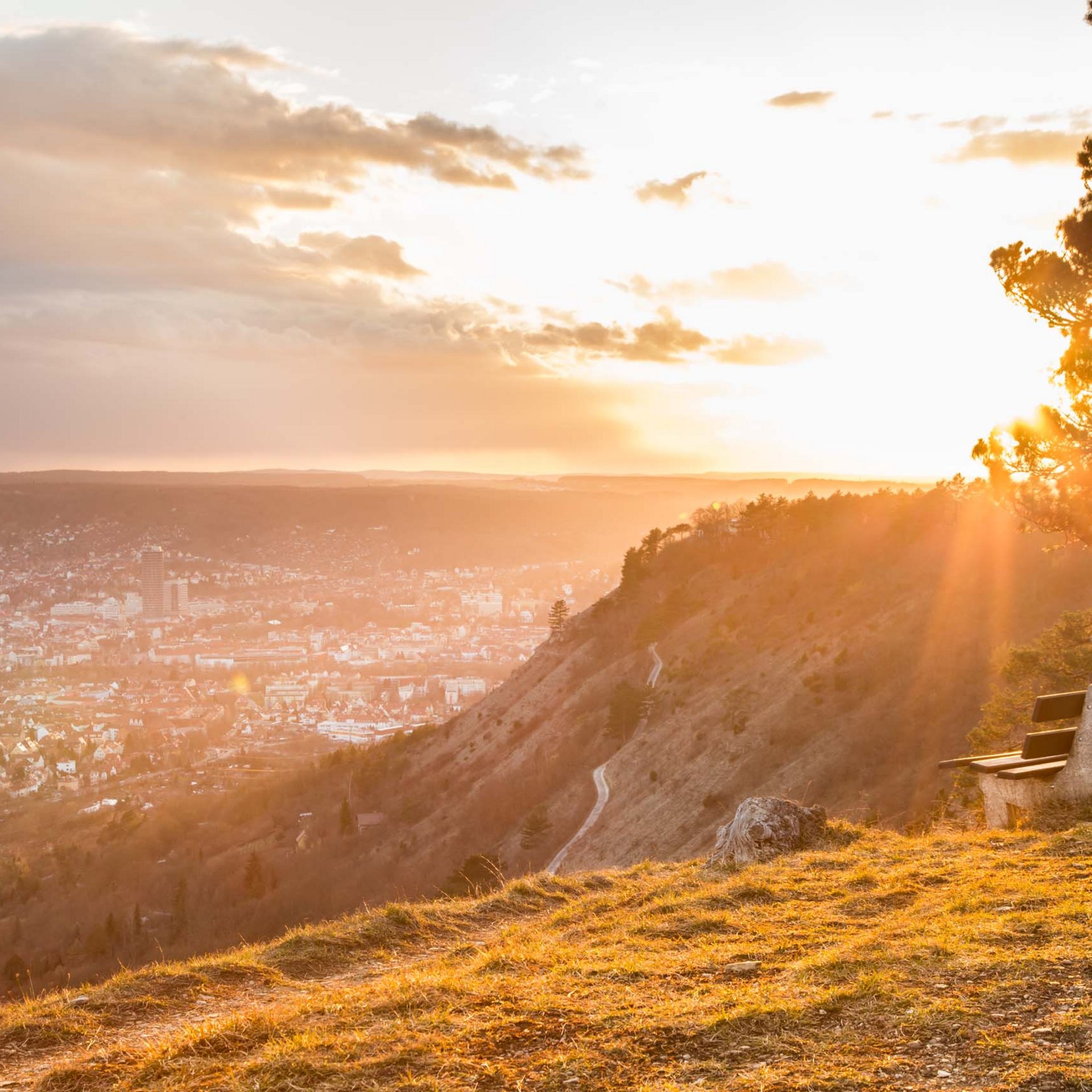 Bench overlooking city and sunset over hills
