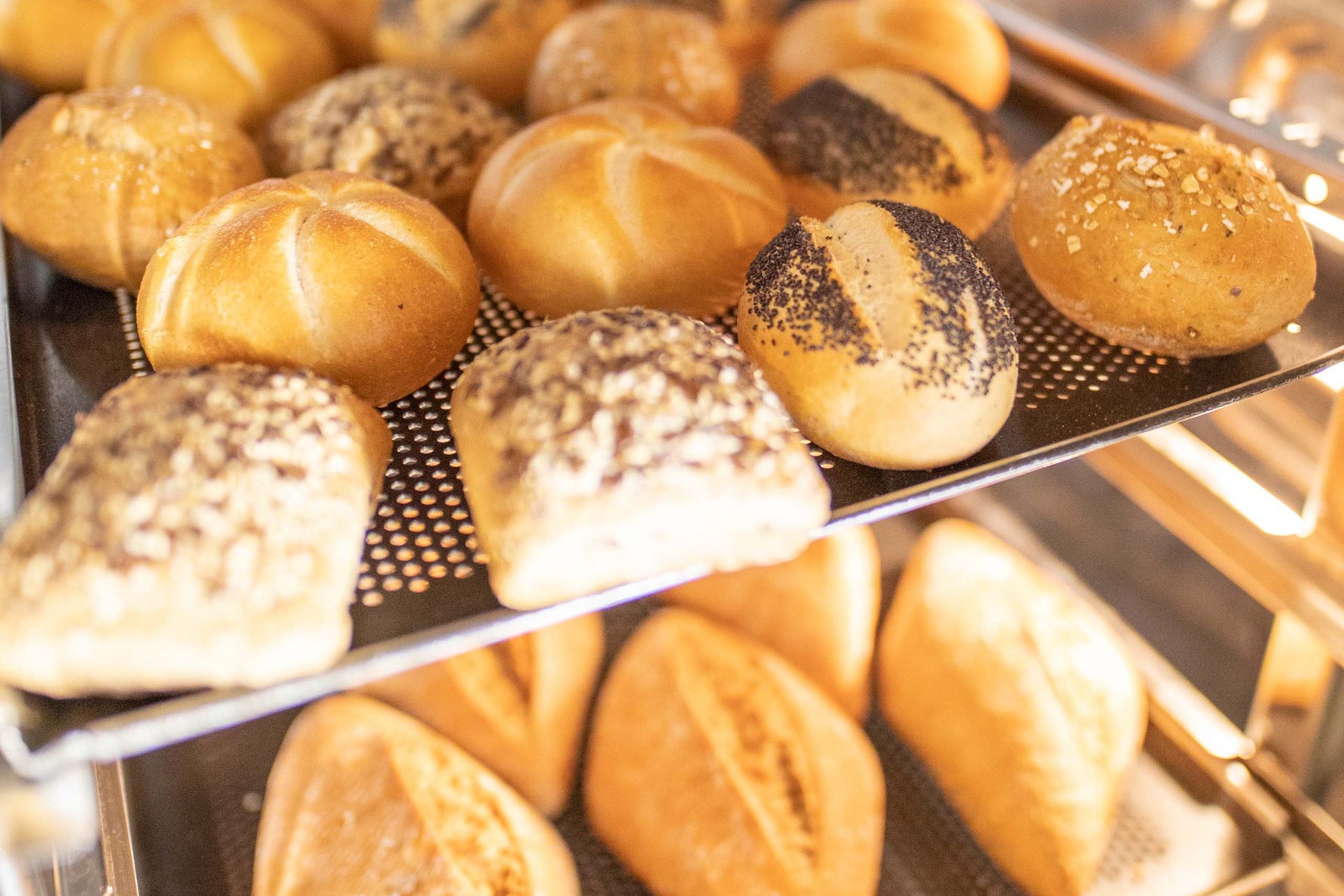 Verschiedene frische Brötchen auf Backblechen in einem Ofen