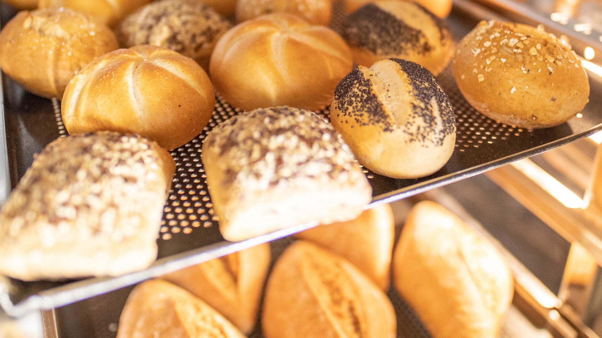 Assortment of fresh bread rolls on baking trays inside an oven